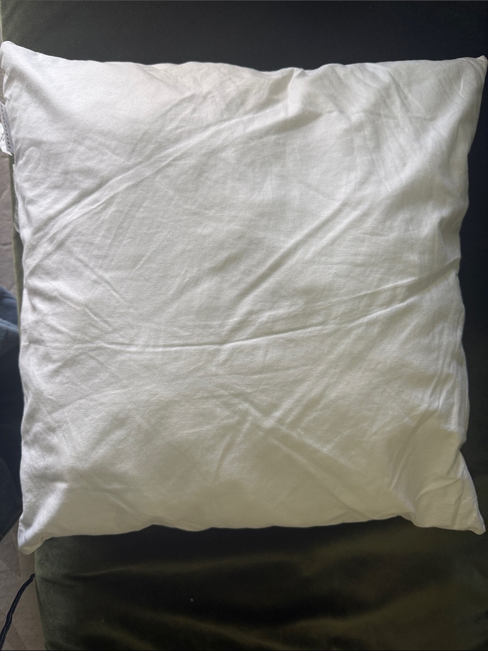 Pottery barn 20x20” pillow insert in pristine condition.